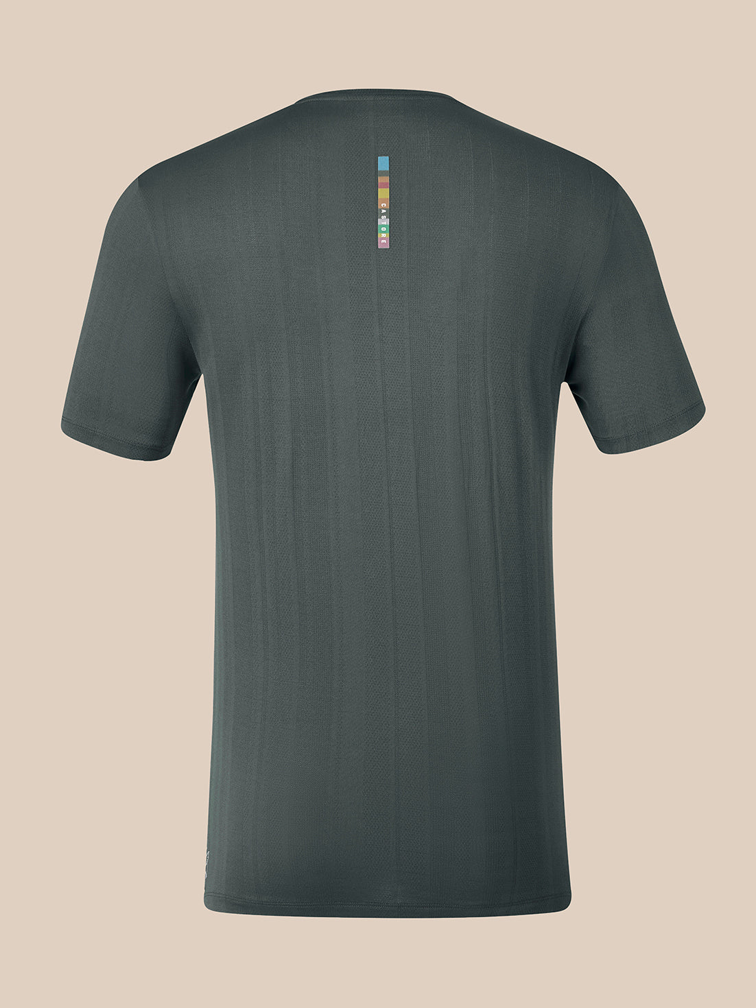A dark gray short-sleeve t-shirt shown from the back, featuring a small vertical multicolor stripe graphic near the upper center back, set against a solid beige background.
