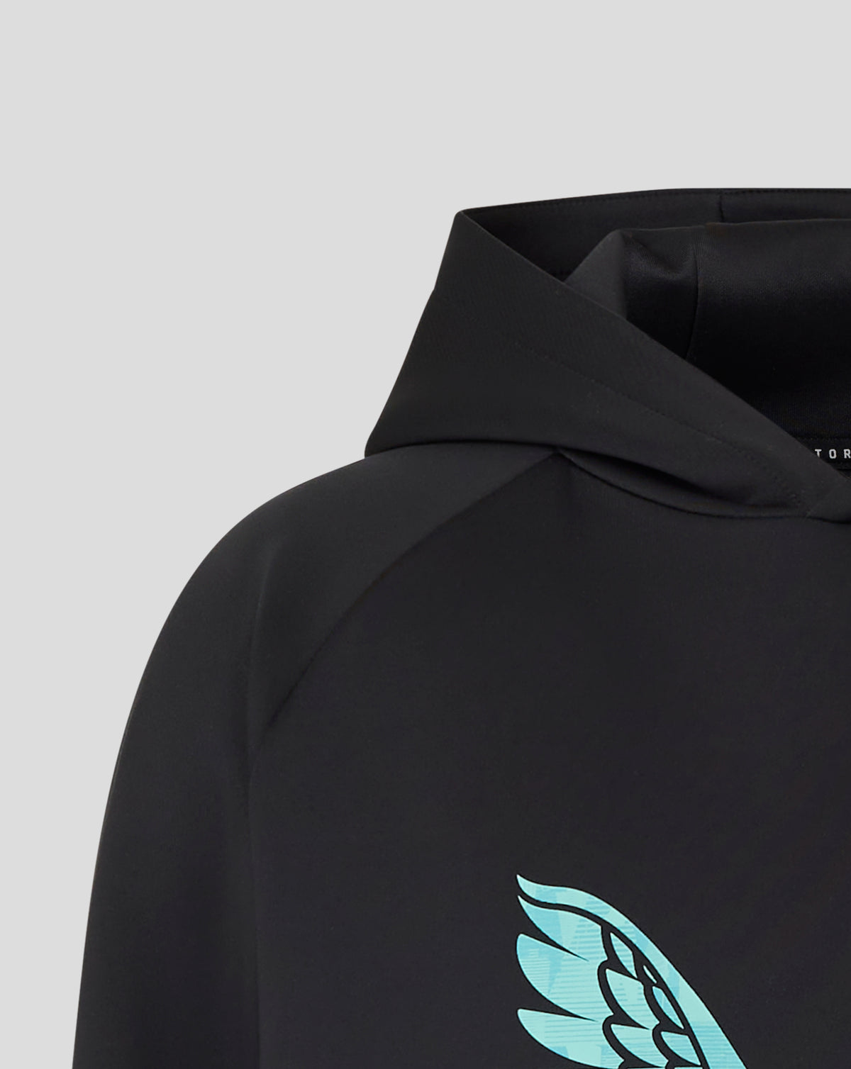 Sudadera con capucha England Cricket Ashes Junior 25/26 Pro Lock Up Logotipo - Caviar