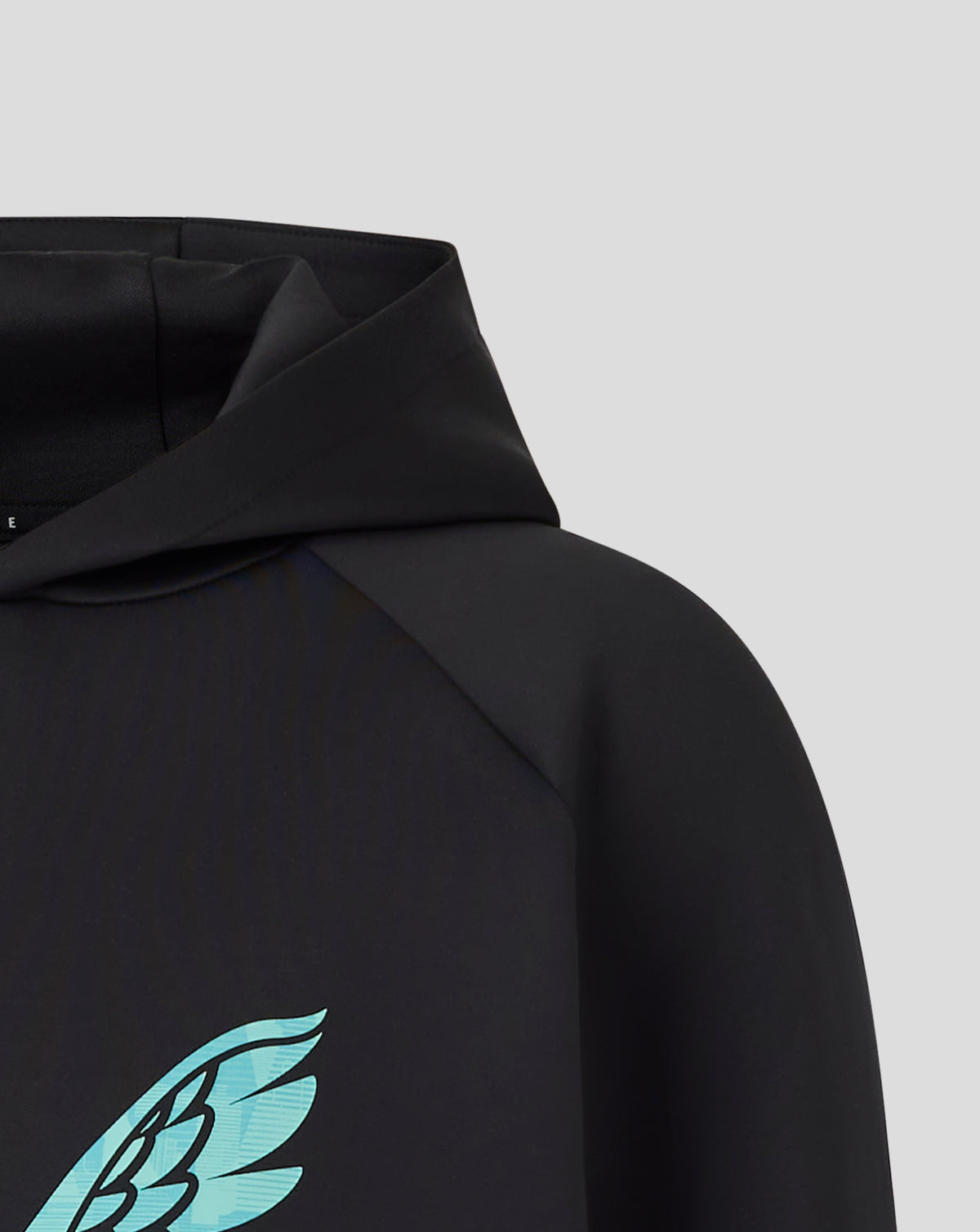 Sudadera con capucha England Cricket Ashes Junior 25/26 Pro Lock Up Logotipo - Caviar