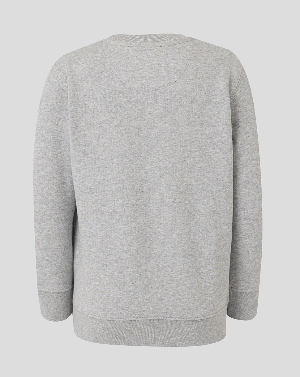 Leicester Tigers Junior 25/26 travel sweatshirt met ronde hals - Grijs