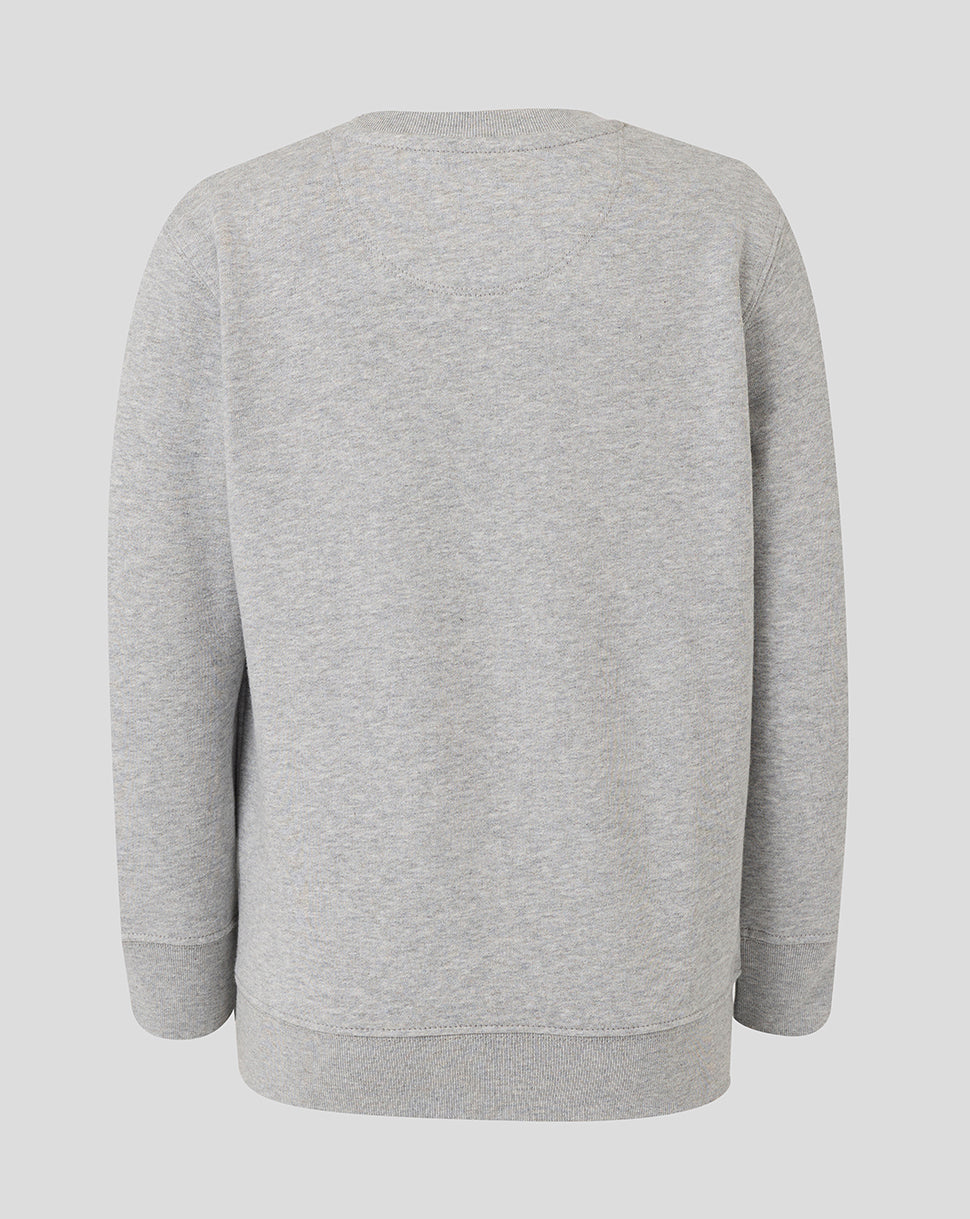 Leicester Tigers Junior 25/26 travel sweatshirt met ronde hals - Grijs