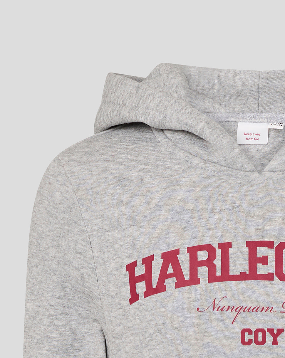 Gray hoodie with red and white text on a light gray background