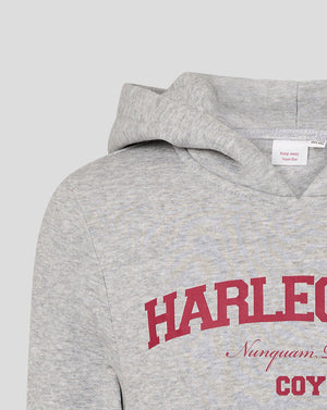 Gray hoodie with red and white text on a light gray background