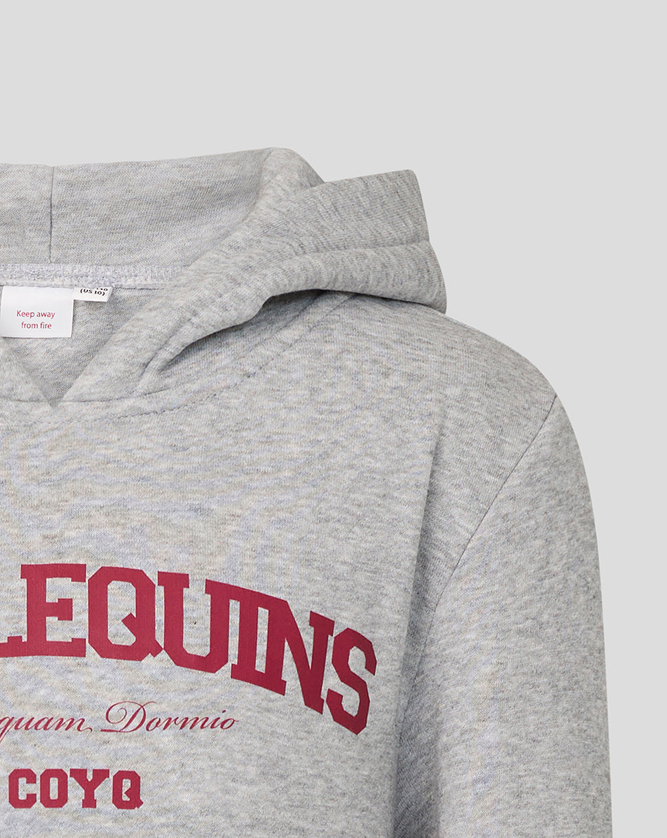 Gray hoodie with red text on a light gray background