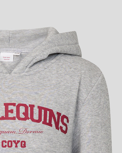 Gray hoodie with red text on a light gray background