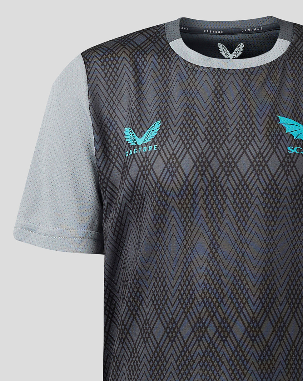 Scarlets Junior 23/24 Kurzarm-Trainings-T-Shirt - Grau