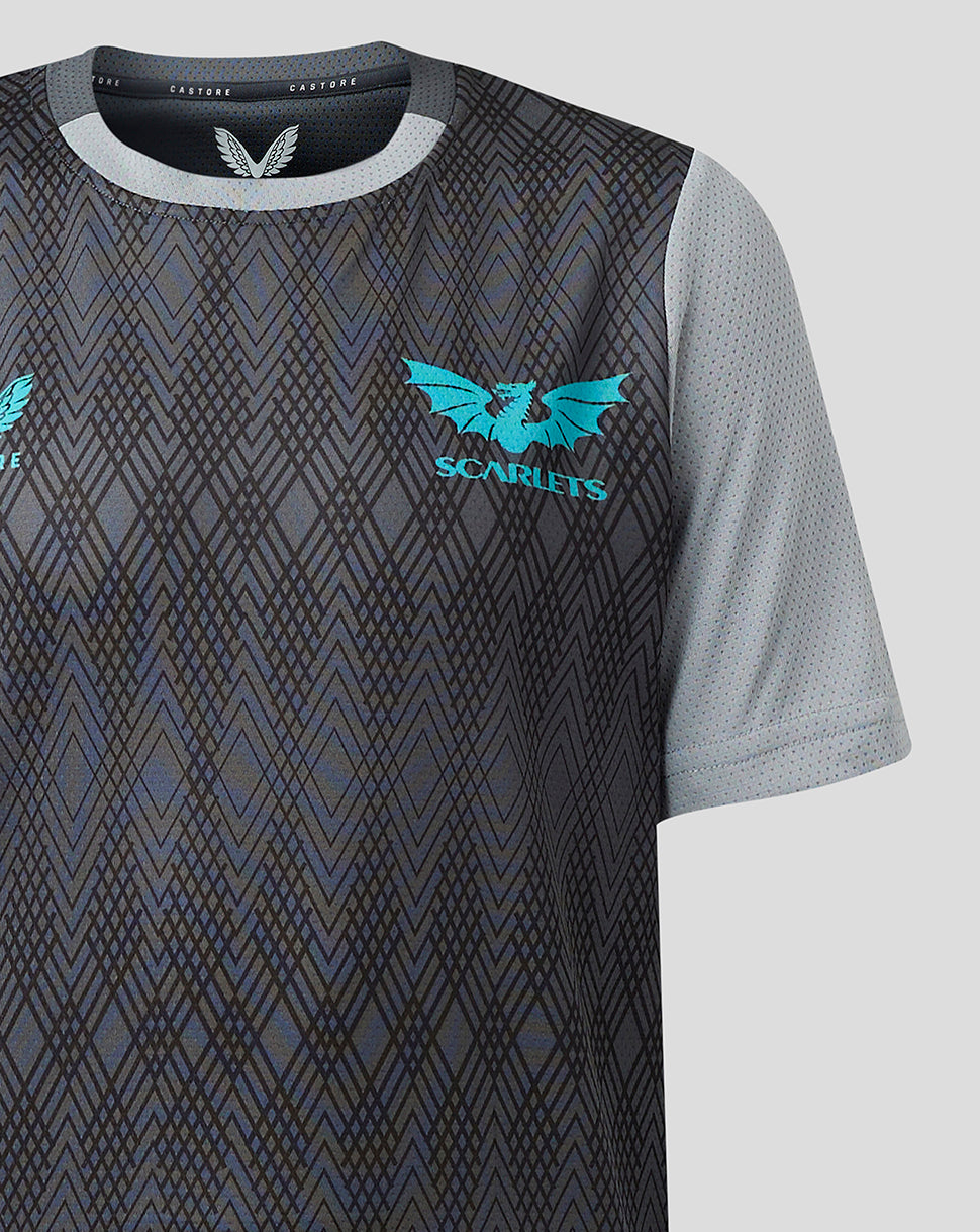 Scarlets Junior 23/24 Kurzarm-Trainings-T-Shirt - Grau