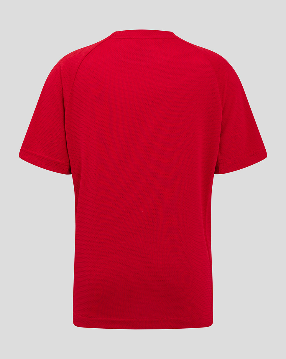 Scarlets Junior 24/25 Pro Players T-Shirt