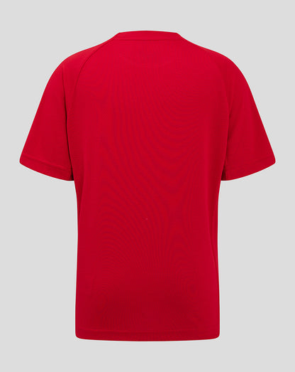 Scarlets Junior 24/25 Pro Players T-Shirt