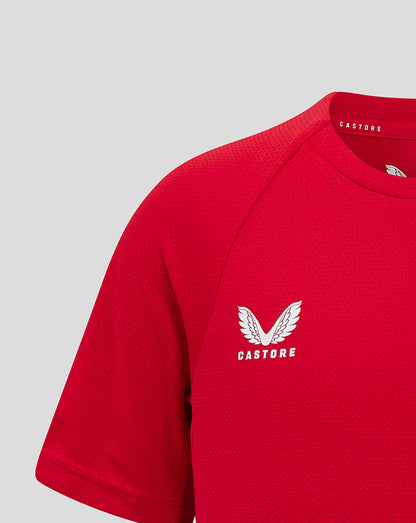 Scarlets Junior 24/25 Pro Players T-Shirt