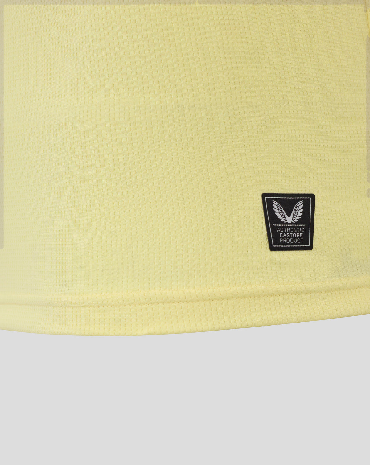 Everton FC 25/26 Men's Away Short Sleeve Shirt - Pastel Yellow
