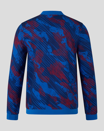 Blue and red patterned jacket on a gray background