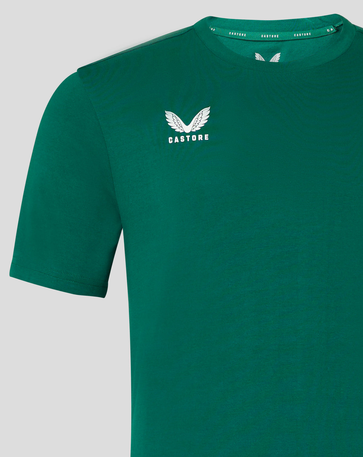 Mens Cotton Leisure Tee - Botanical Garden - Botanical Garden