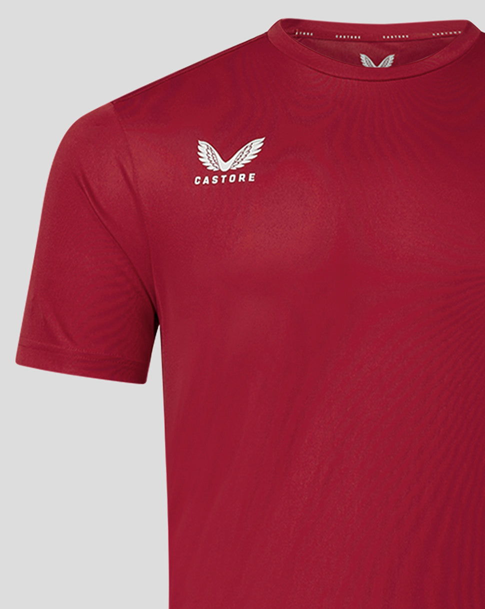 Mens Short Sleeve Training T-Shirt - Biking Red