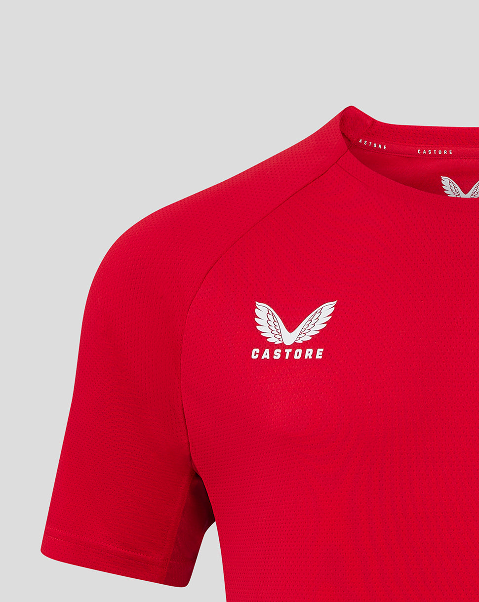 Scarlets Men's 24/25 Pro Players T-Shirt