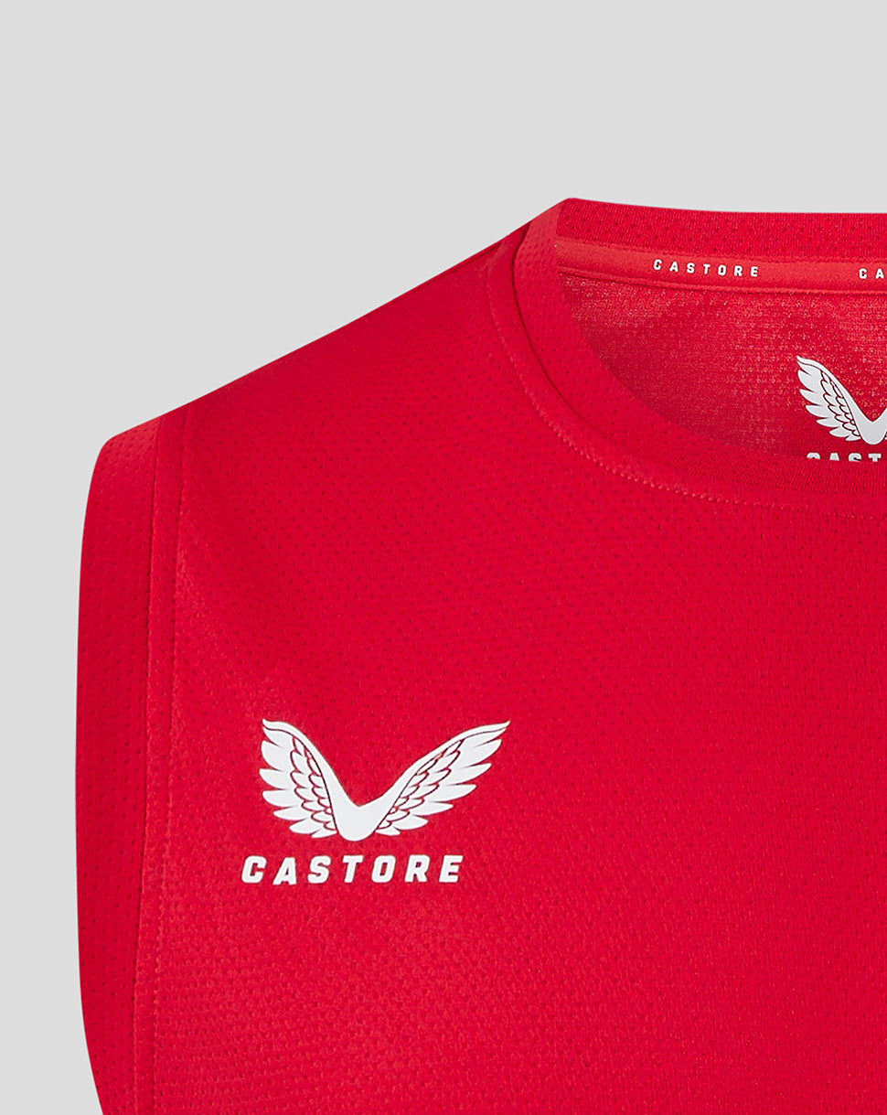 Scarlets Men's 24/25 Pro Players Training Vest