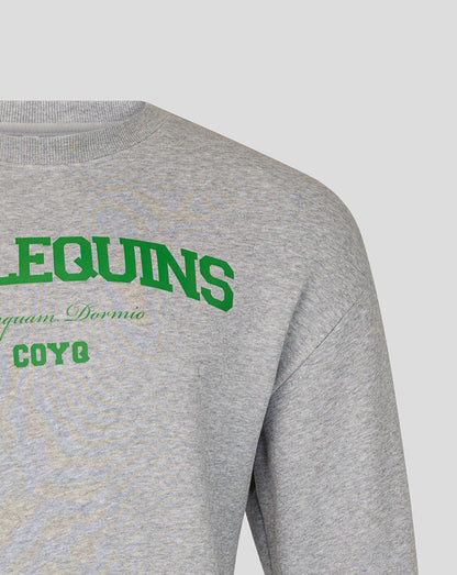 Gray sweatshirt with green text on a light gray background