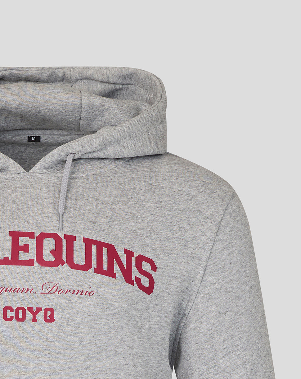 Gray hoodie with red text on a light gray background