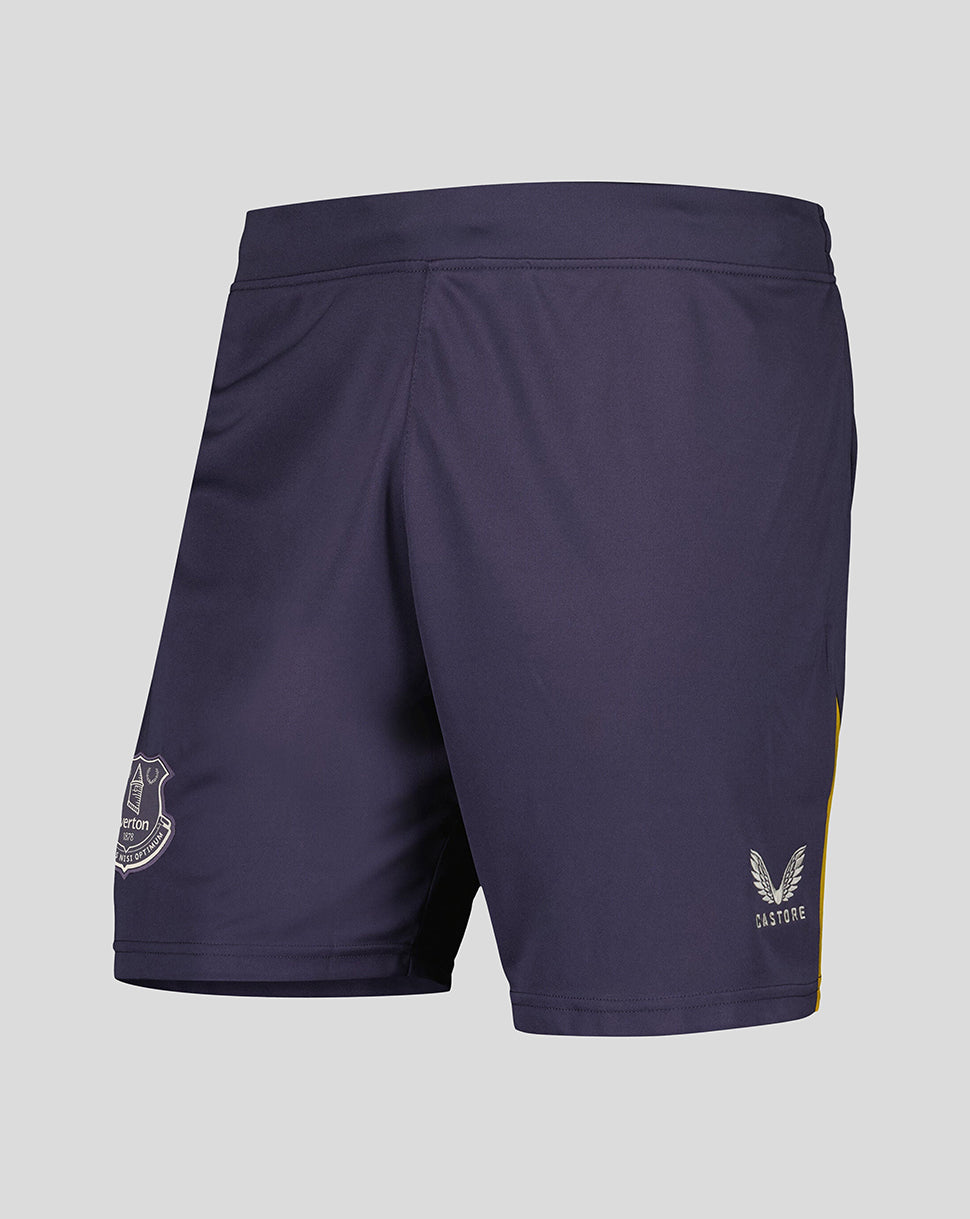Everton Herren 24/25 Ausweich Shorts - Grau