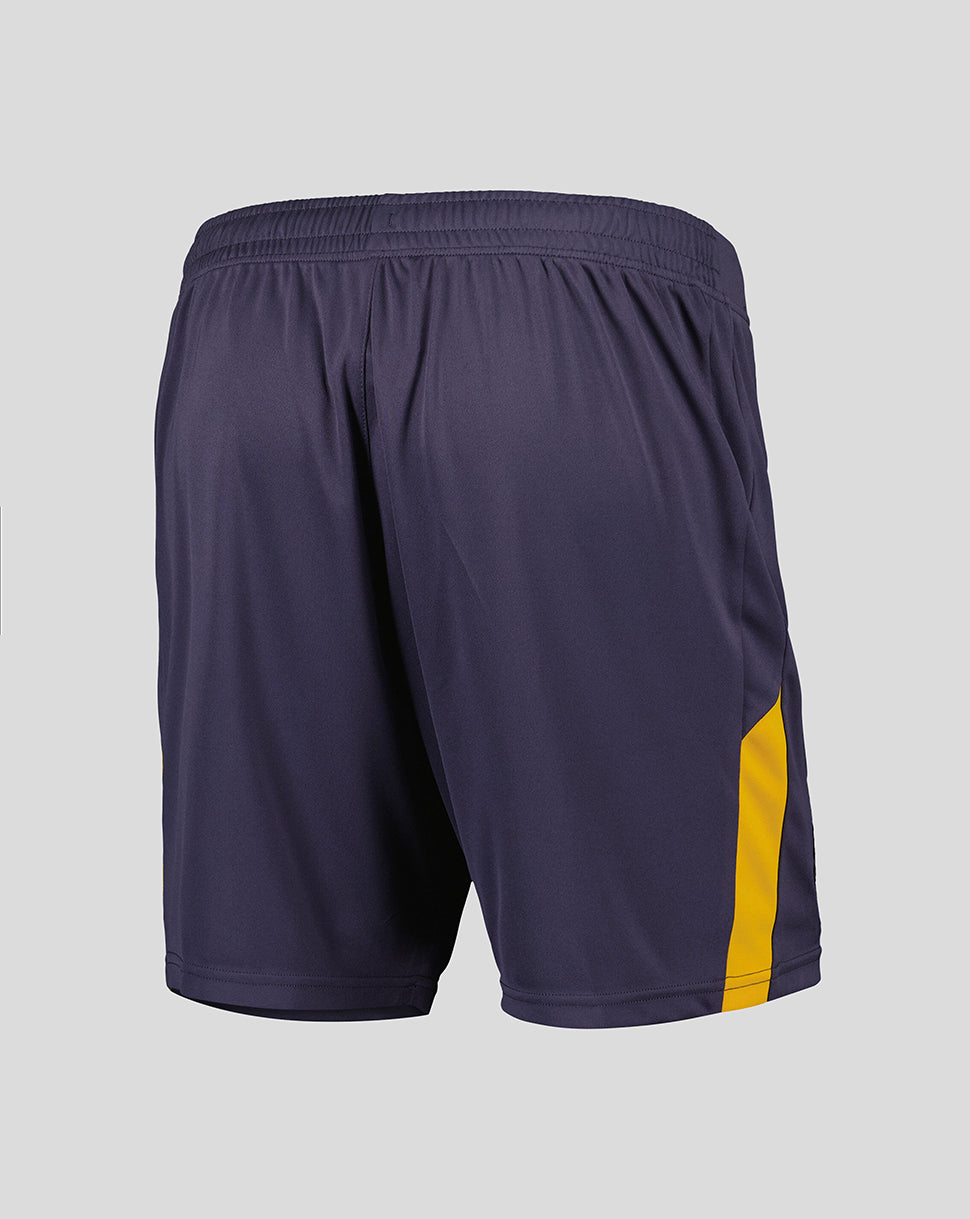 Everton Herren 24/25 Ausweich Shorts - Grau
